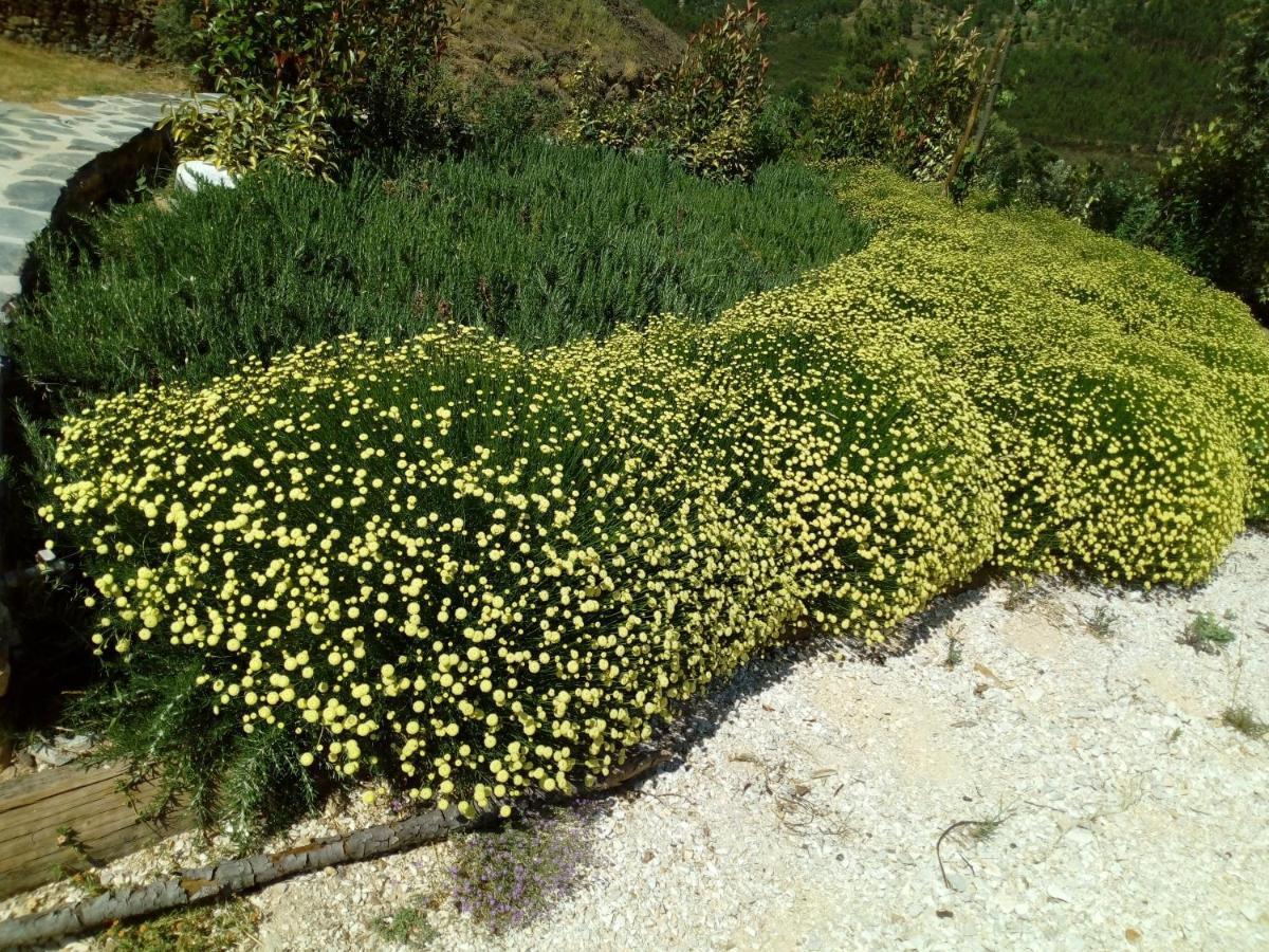 Refugio Do Raposo/Casa Deneb Villa Montes da Senhora ภายนอก รูปภาพ